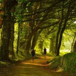 Camino de Santiago Aragonés