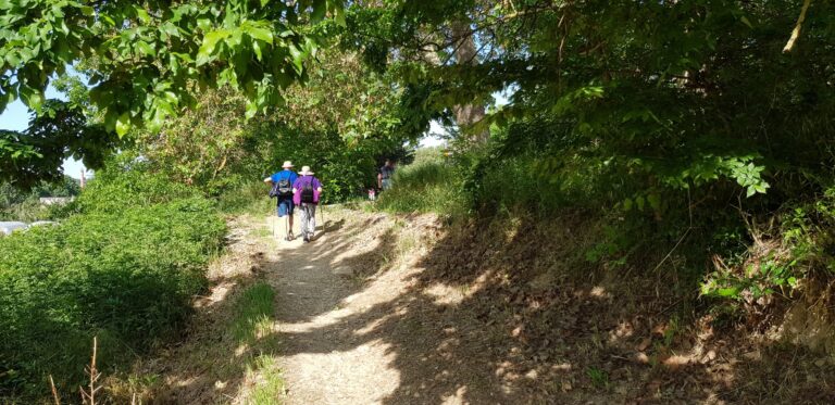 Camino de Santiago Aragonés