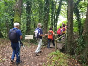 Camino de Santiago Primitivo