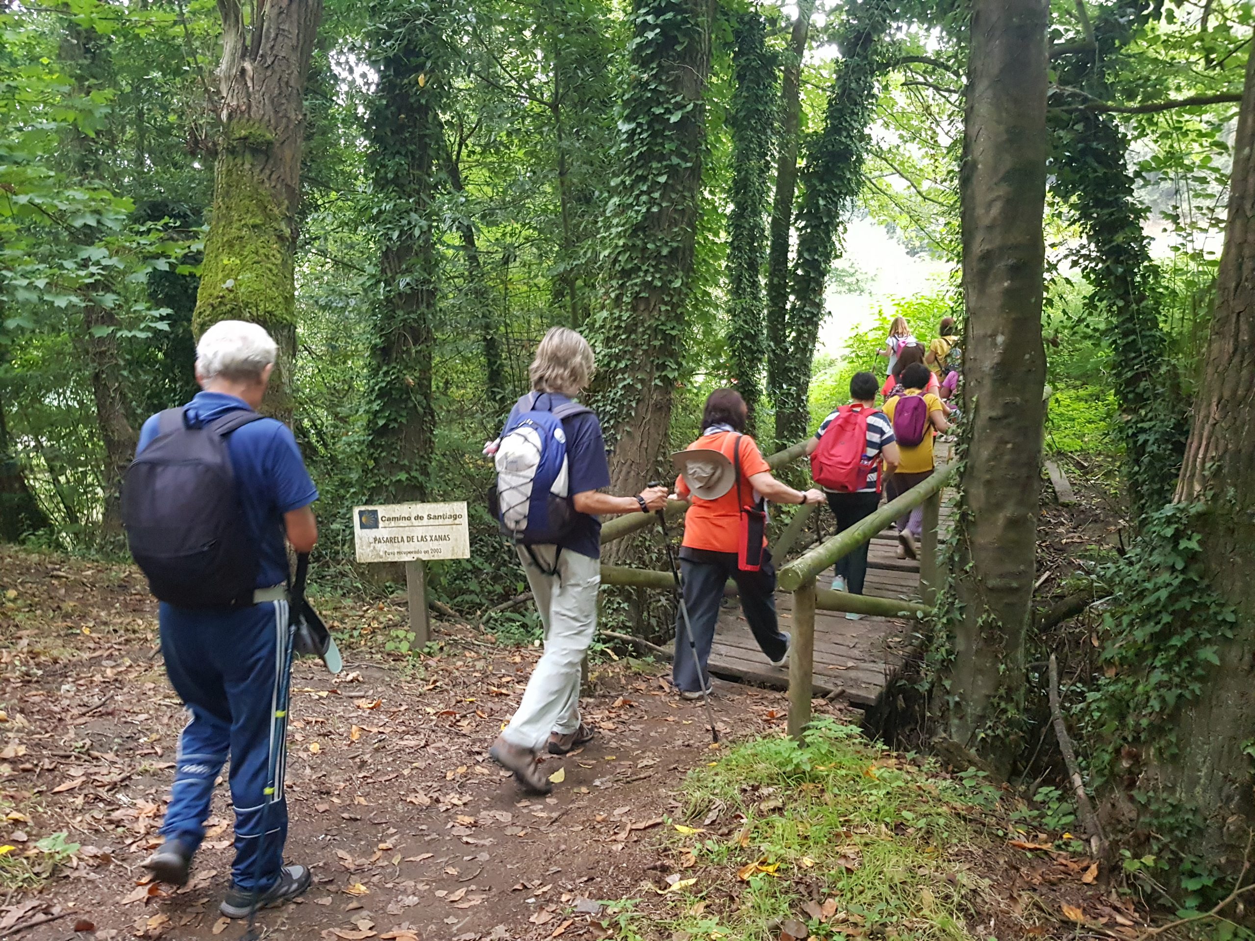 Camino de Santiago Primitivo