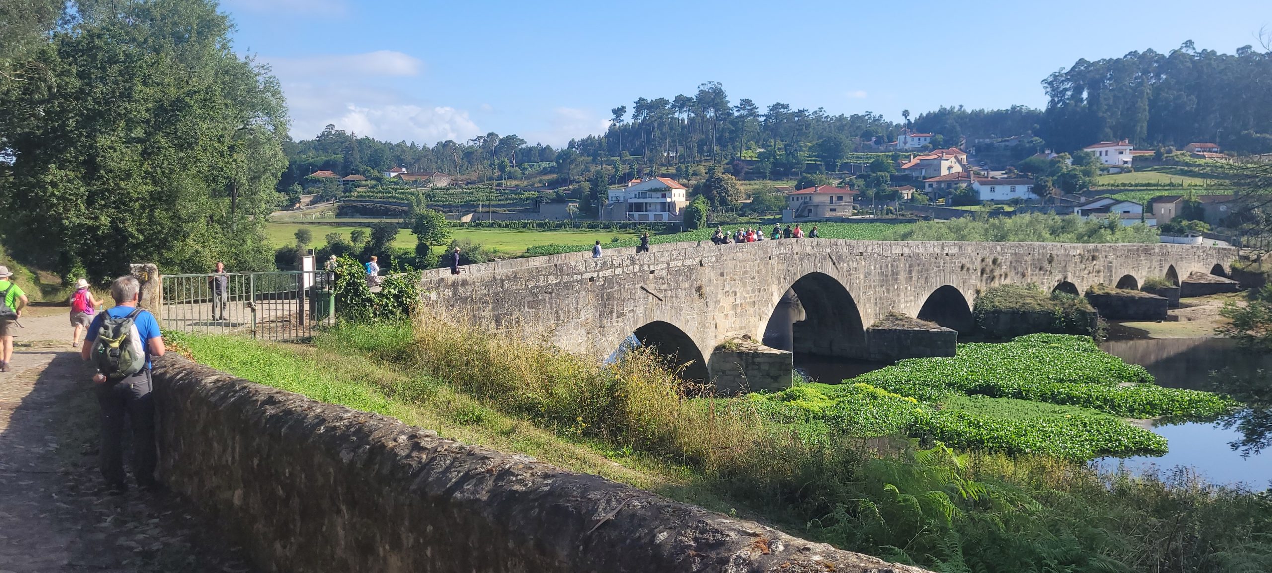Camino de Santiago Portugués