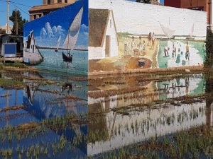 Excursiones Privadas