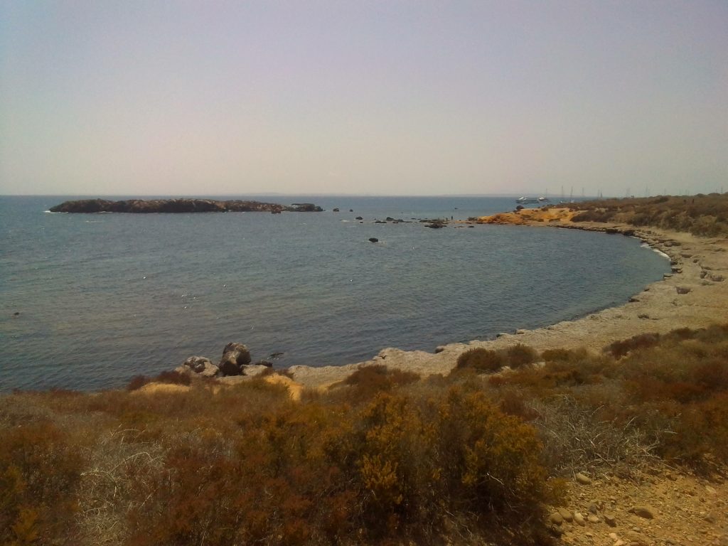 Isla de Tabarca Pack Catamarán + Comida Típica Restaurante