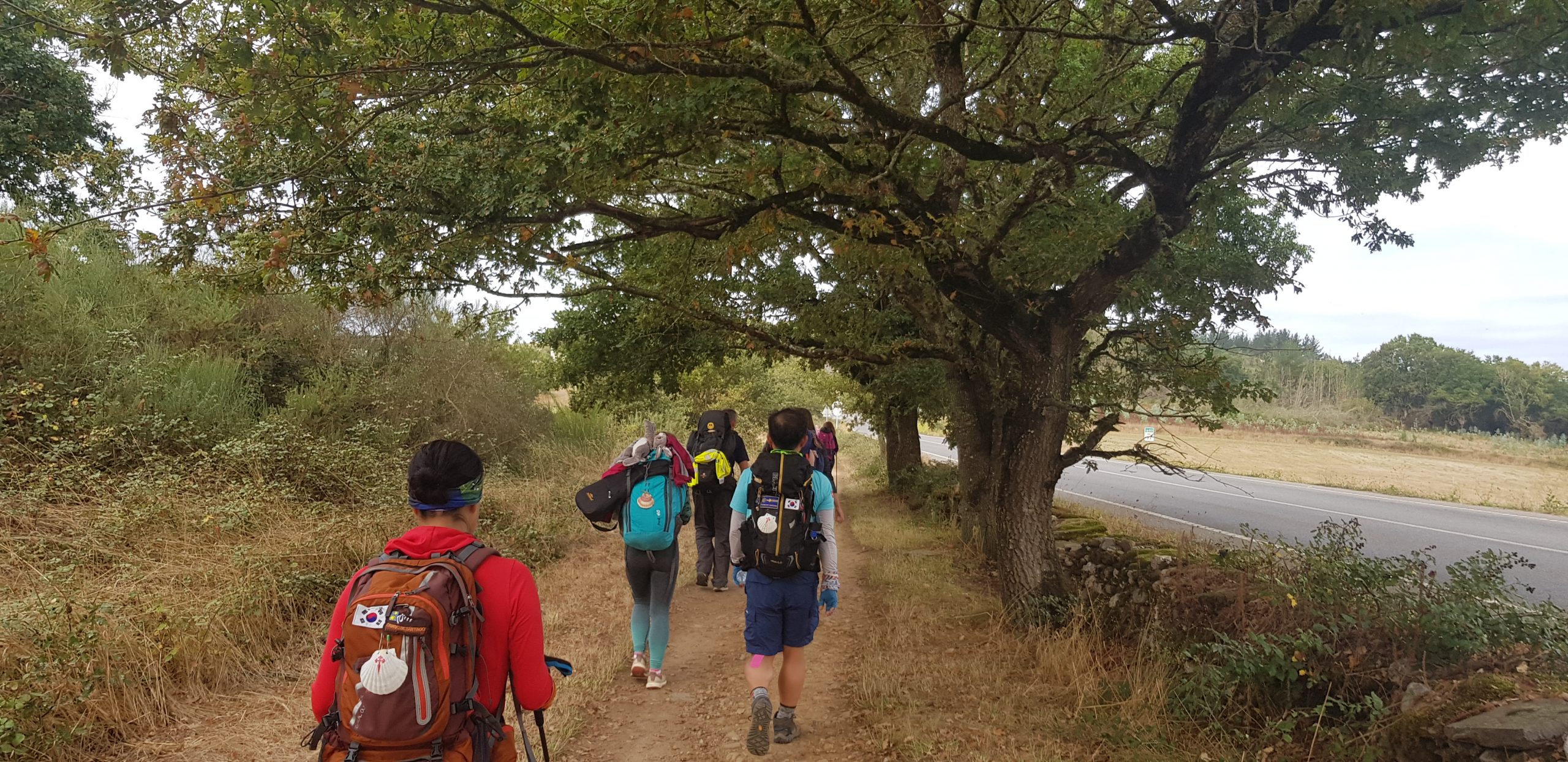 Camino de Santiago Portugués Últimos 100 KM desde Tui
